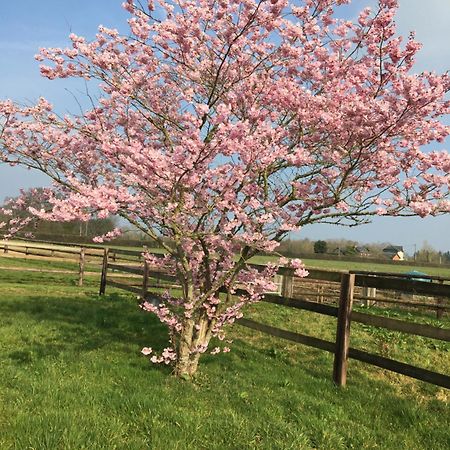 Saint-Michel-de-Livet B&B Haras De La Cour Fleury المظهر الخارجي الصورة