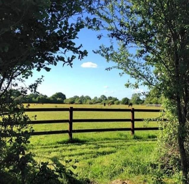 Saint-Michel-de-Livet B&B Haras De La Cour Fleury المظهر الخارجي الصورة