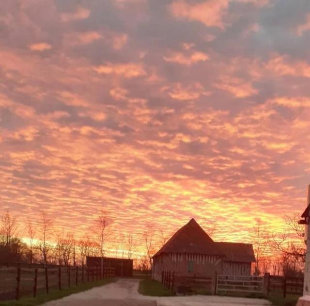 Saint-Michel-de-Livet B&B Haras De La Cour Fleury المظهر الخارجي الصورة