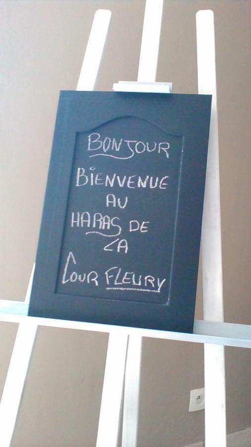 Saint-Michel-de-Livet B&B Haras De La Cour Fleury المظهر الخارجي الصورة
