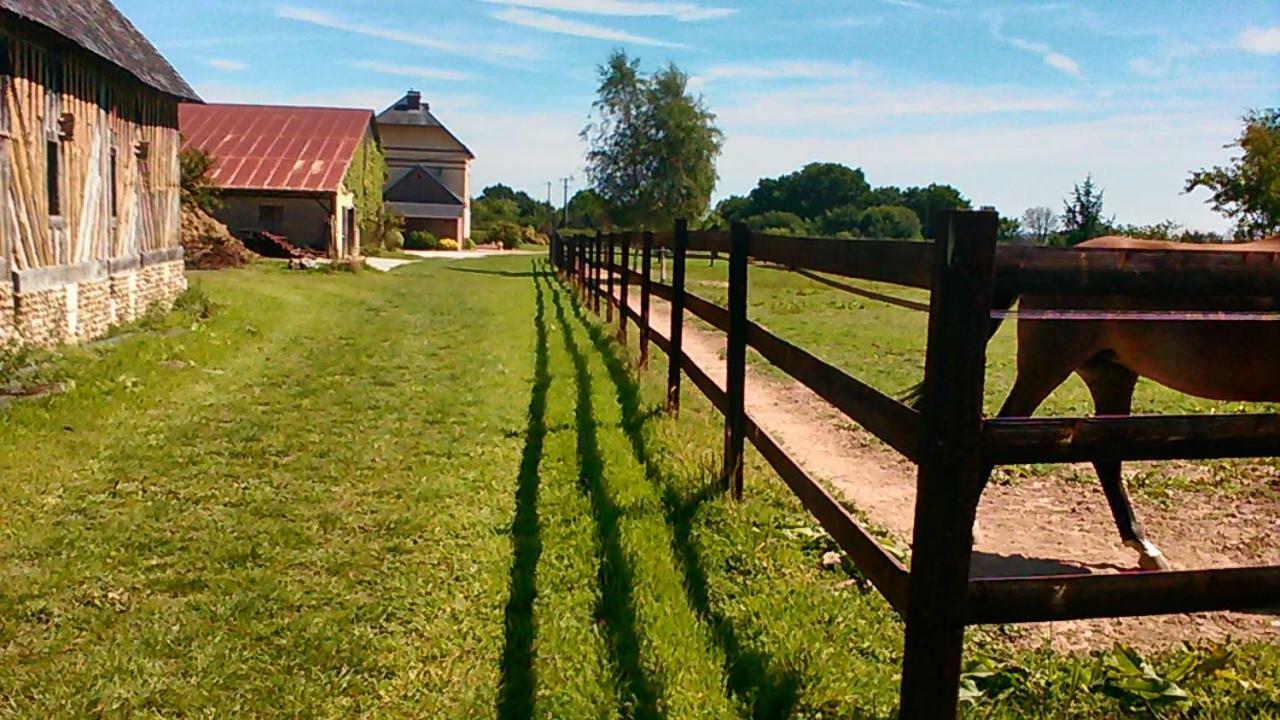 Saint-Michel-de-Livet B&B Haras De La Cour Fleury المظهر الخارجي الصورة